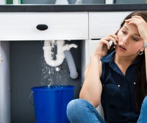 About Emergency plumbing pros Newman Lake, WA